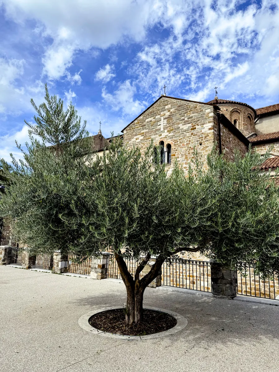 Around the Cathedral