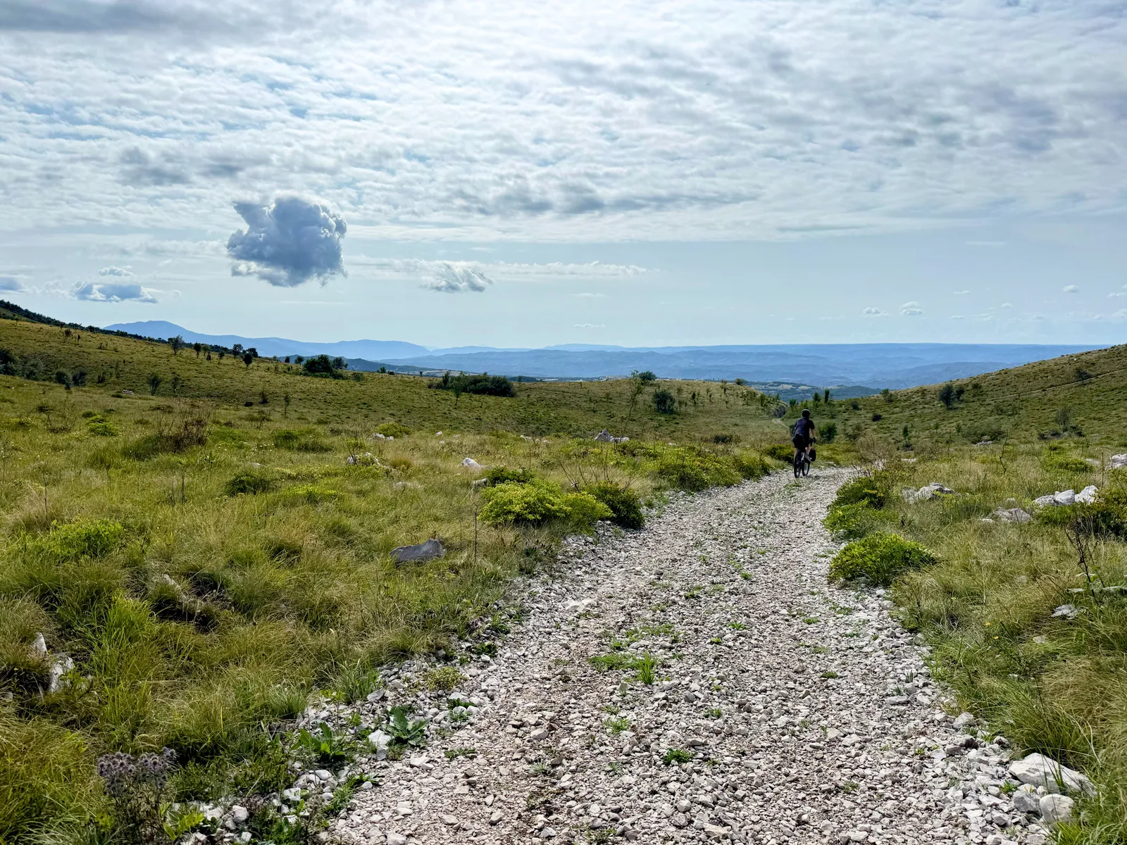 Meadows in the Kojnik reserve