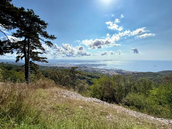 Trieste from the Napoleonic trail