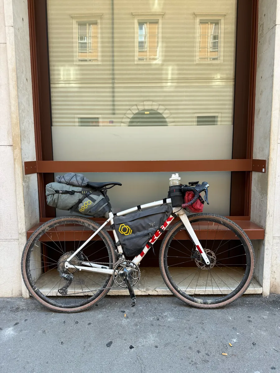 The Grasshopper in Trieste