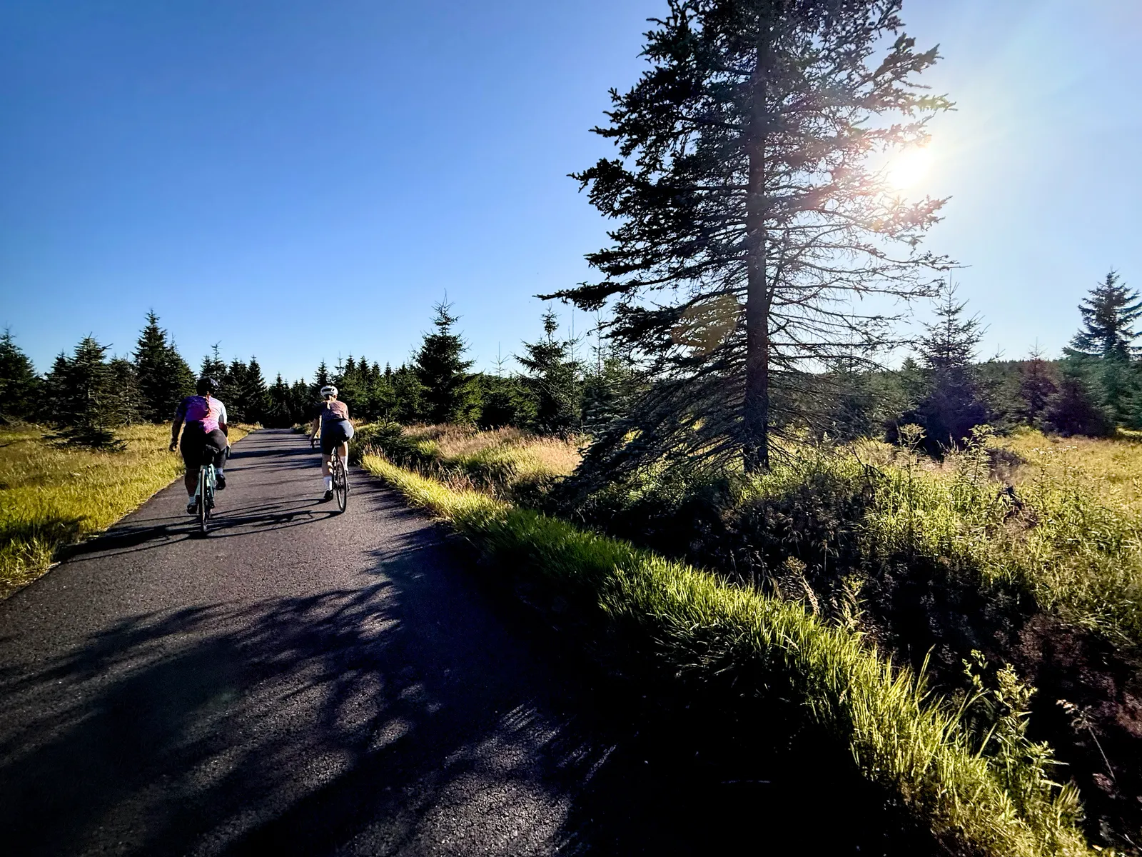 In the Izery mountains