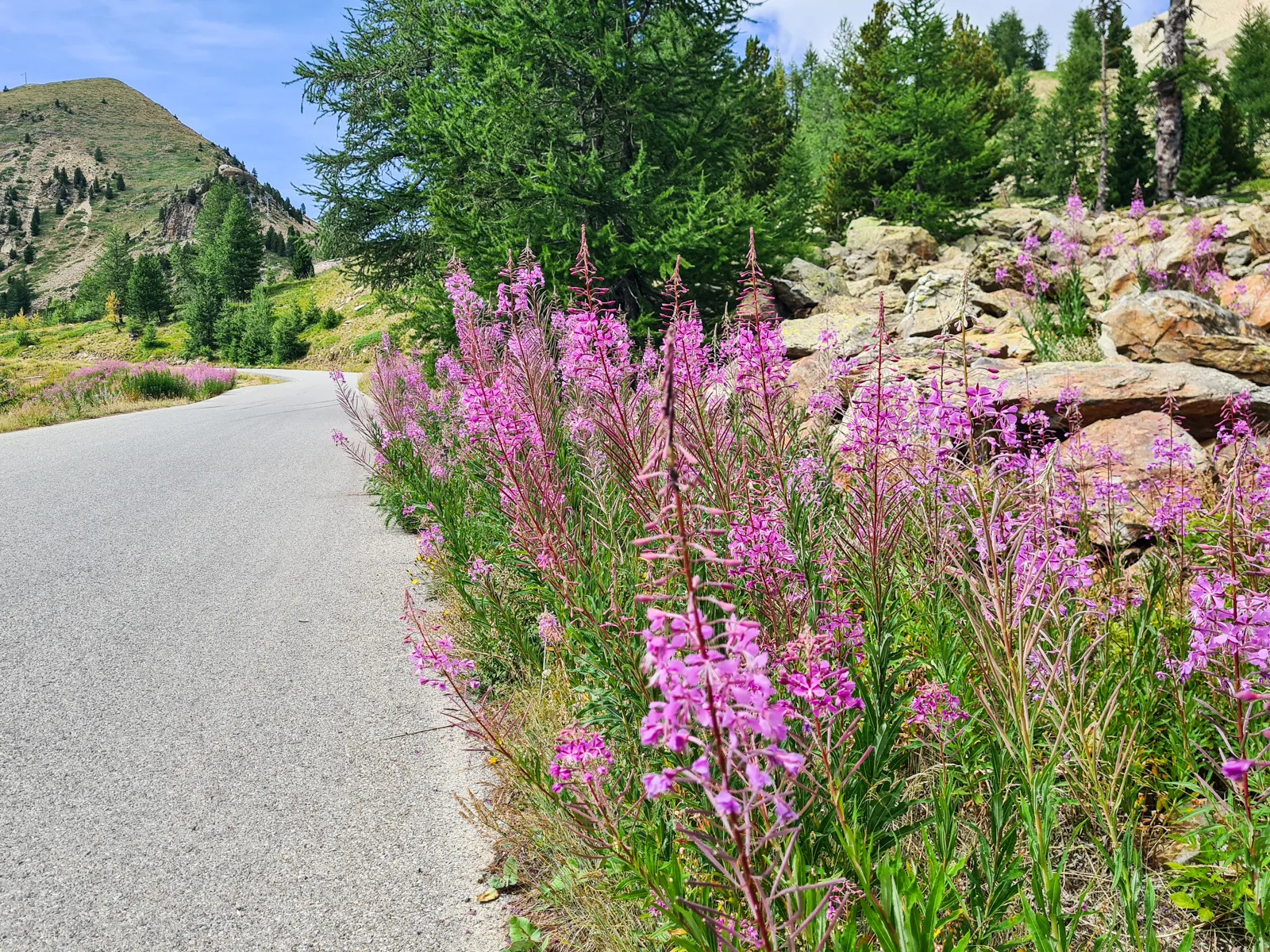 Climbing Col de la Lombarde